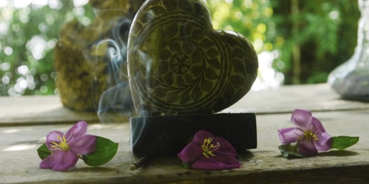 Remembering an Ayahuasca Seminar