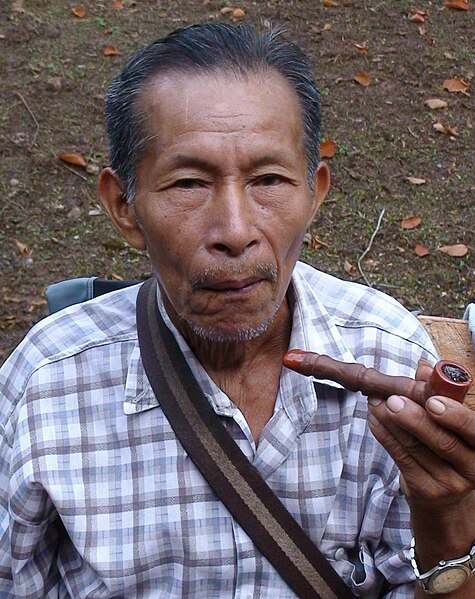 Don Guillermo Ojanama