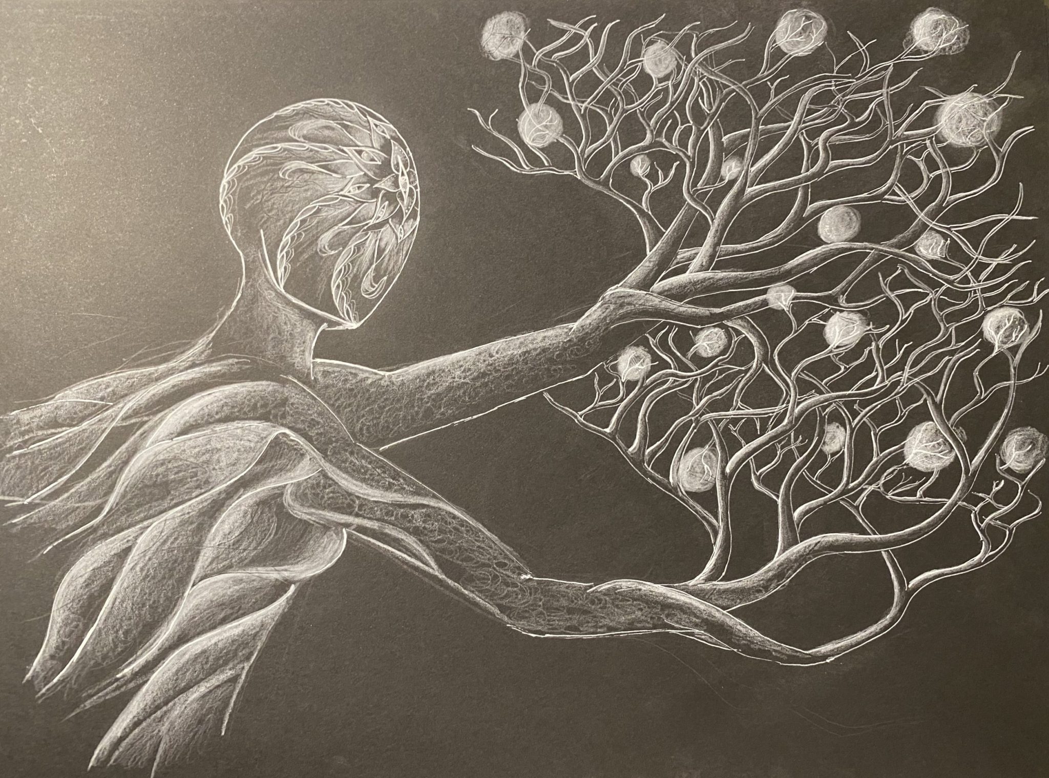 Read more about the article The Yoga of the Plants