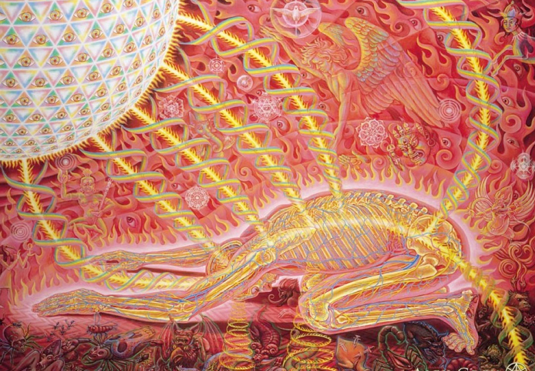 Read more about the article Shamanism Liberation